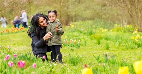 Overzicht van populaire autoverhuurmaatschappijen die via Uber Rent in Leusden beschikbaar zijn.