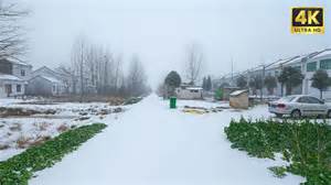 Een huskyslee die door een besneeuwd landschap trekt, met besneeuwde bomen op de achtergrond.