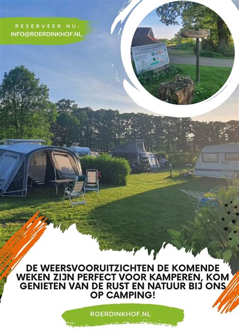 een sfeervolle foto van de mini-camping Roerdinkhof met uitzicht op weilanden en bosrand