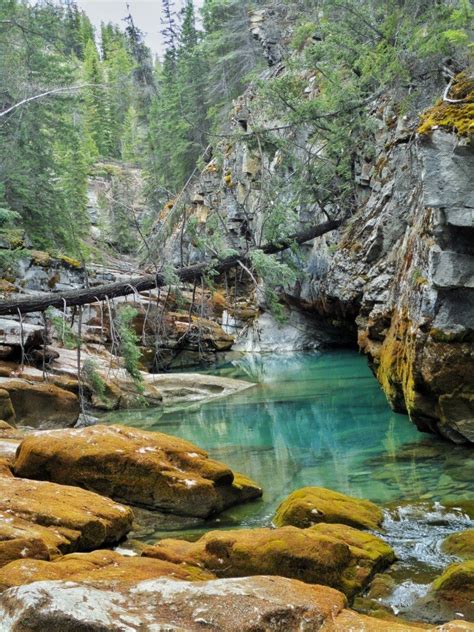 Maligne Canyon met de rivier die door de rotsen snijdt