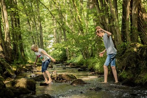 kinderen spelen in het beekje bij Landal Nature Parc Saint Hubert