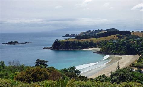 Landschap van Waiheke Island met wijngaarden en strand