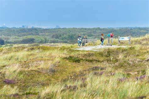 Panoramafoto van het brede zandstrand van Sint Maartenszee met duinen op de achtergrond.