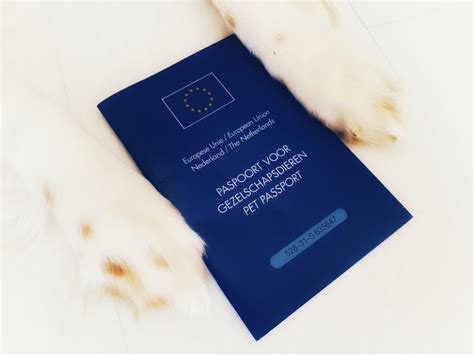 Hond met dierenpaspoort