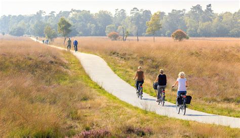 een koppel wandelt over een bospad op de Veluwe