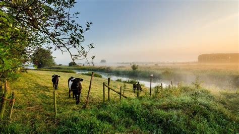 Gezin fietst door het groene landschap van Twente