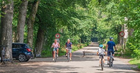 Fietsen door de bossen van de Utrechtse Heuvelrug
