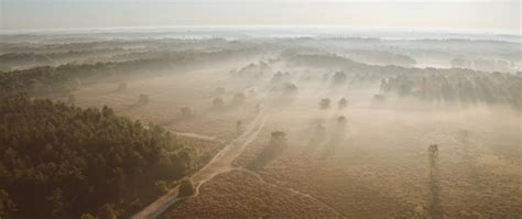 Landschap van natuurgebied de Maashorst met wandelpaden en Europese bizon