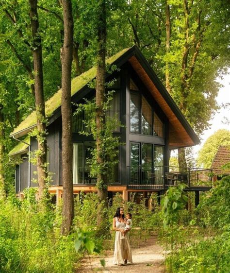 Luxe A-frame lodge met sauna en hottub op de Veluwe