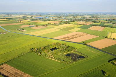 Landschap van de Achterhoek met groene weilanden en kronkelende weggetjes