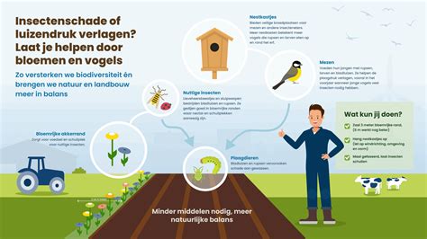 Infographic: Hoe Omio helpt bij het vinden van de beste vluchten