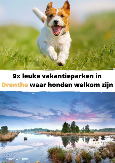 Overzicht van Roompot vakantieparken waar honden welkom zijn