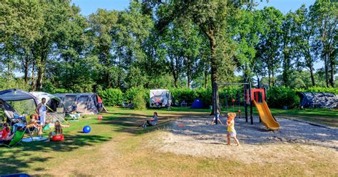 Overzichtsfoto van verschillende accommodatietypes op Vakantiepark De Ullingse Bergen.