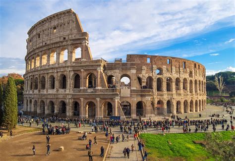 Het Colosseum in Rome met op de voorgrond een bloeiende struik