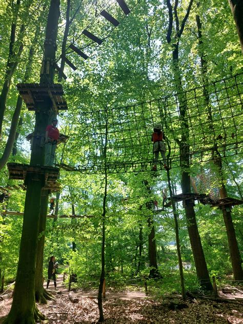 Kinderen die klimmen in een klimbos in het Amsterdamse Bos
