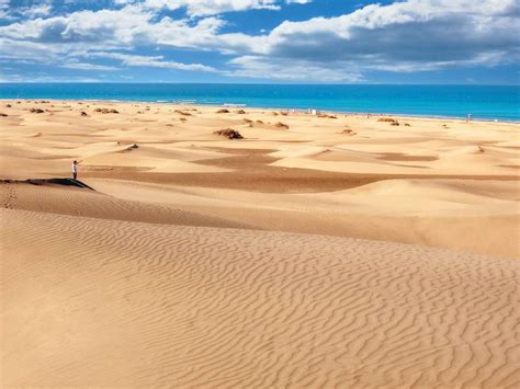 Strand van Maspalomas met duinen