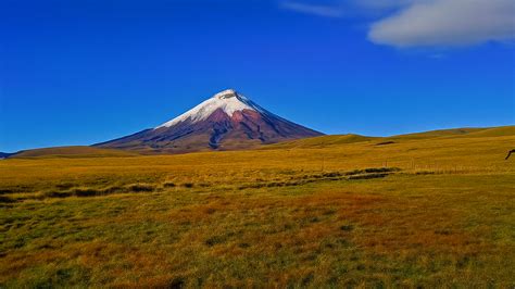 De iconische Cotopaxi vulkaan in Ecuador onder een heldere hemel
