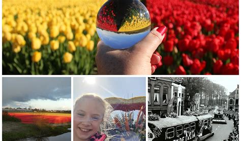 Collage van winnende foto's uit de fotowedstrijd