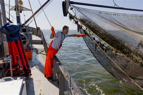 Vissersboot die garnalen vangt op de Waddenzee