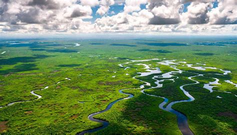 Een luchtfoto van de Everglades met airboats