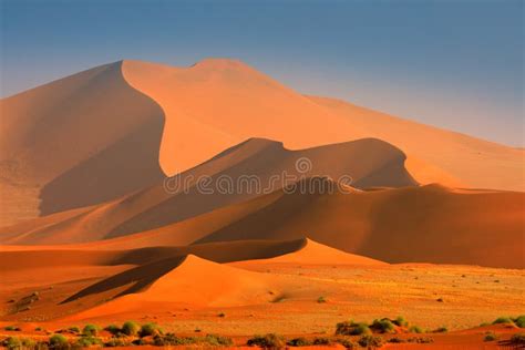 Landschap van de Namib woestijn met hoge zandduinen en een heldere blauwe lucht