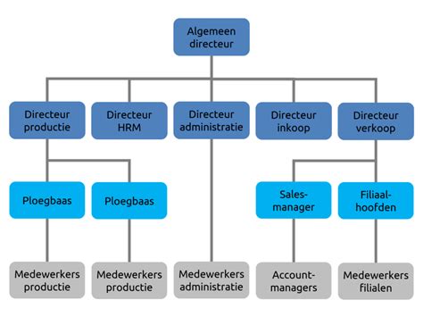 Schema dat de structuur van een KLM Familieaccount toont met koppelingen en voordelen voor kinderen.