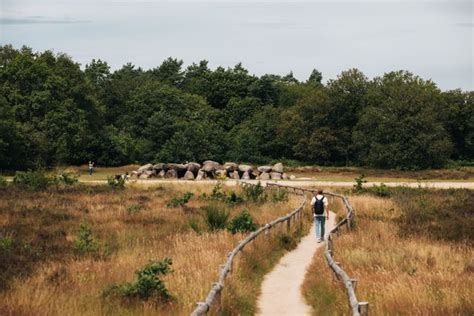 Landschap van Drenthe met een attractiepark op de achtergrond