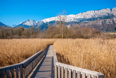 natuurreservaat Bout du Lac met houten paden en water