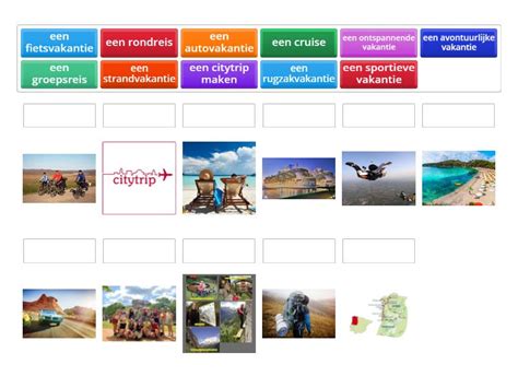 illustratie van verschillende soorten vakanties: strand, skiën, stad, rondreis