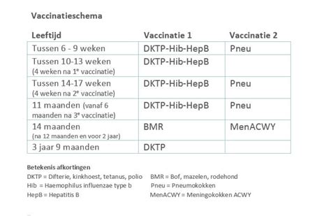 Overzichtelijke tabel met het Nederlandse Rijksvaccinatieprogramma per geboortejaar.