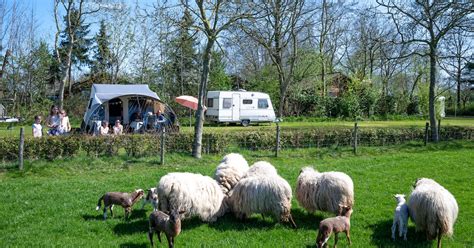 Vlindertuin op Camping De Menmoerhoeve