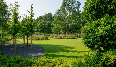 Illustratie van diverse vakantiewoningen in een natuurlijke omgeving.