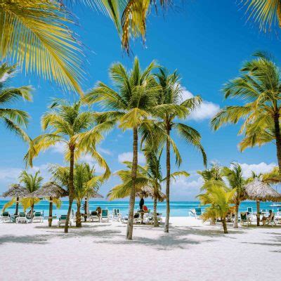 panoramisch uitzicht op een wit zandstrand met wuivende palmbomen en azuurblauwe zee op Aruba