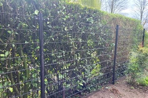 Gedetailleerde weergave van de ruime paddocks met natuurlijke begroeiing en dubbele afrastering