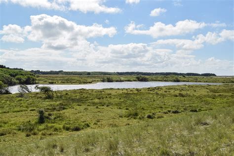 Een weids duinlandschap met paden, kenmerkend voor de omgeving van Renesse.