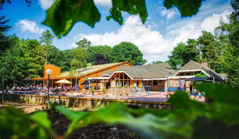 Overzicht van de diverse kampeerplekken en accommodaties op De Berenkuil, omringd door natuur