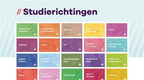 Schema dat de verschillende studierichtingen toont waarvoor KLM HBO/WO stages aanbiedt.