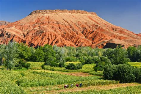 Panoramisch uitzicht op het Atlasgebergte