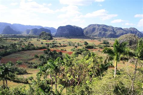 Mogotes (kalksteenheuvels) in de Viñales-vallei met tabaksplantages op de voorgrond.
