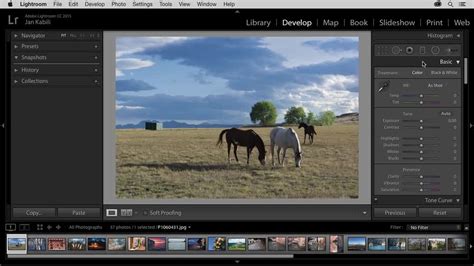 Een screenshot van Adobe Lightroom Classic met een bewerkte zomerse landschapsfoto.