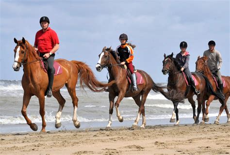 Een ruiter maakt een strandrit met een paard langs de kust.