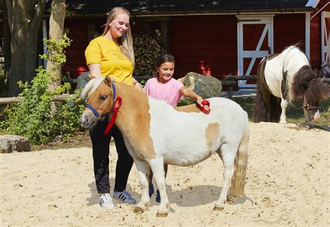 Een kind is een pony aan het borstelen bij een Pony Cottage.