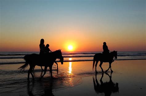 Een ruiter maakt een strandrit met een paard bij zonsondergang.