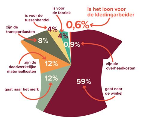 Infographic die de reistijd, prijs en milieu-impact van bus, trein en vlucht vergelijkt
