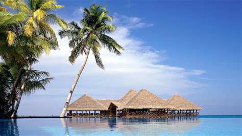 een mooie tropische strandscène op Bali met palmbomen en helderblauw water