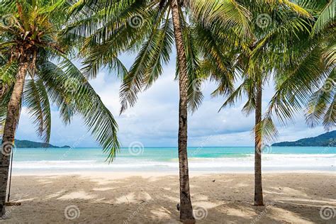 prachtig strand op Phuket met palmbomen en helderblauw water