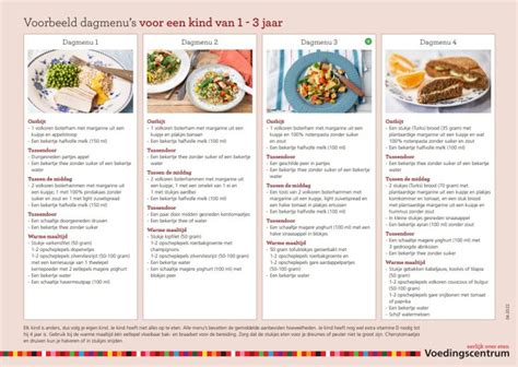 Voorbeeld van een uitgebalanceerd dagmenu met afbeeldingen van de maaltijden.