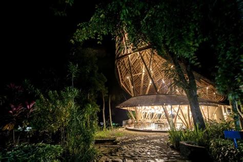 Een foto van de Ecolodge Bukit Lawang, omringd door groen regenwoud.