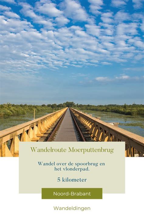 Overzichtsfoto van de Moerputtenbrug