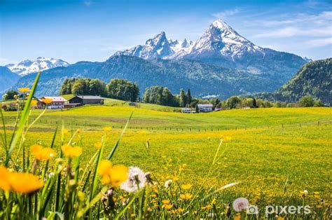 Wandelpad in het Lötschental met weelderige groene weiden en hoge bergtoppen